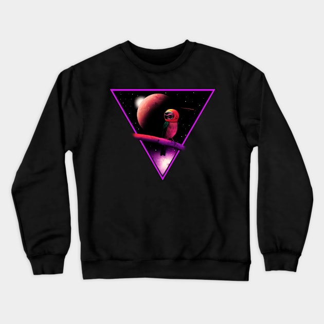 Bird Space Crewneck Sweatshirt by Sachpica